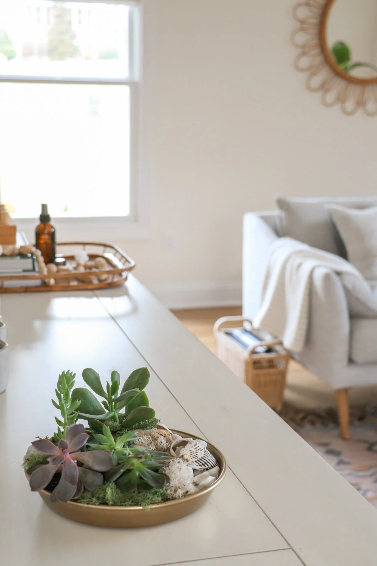 Diy succulent 2024 coffee table